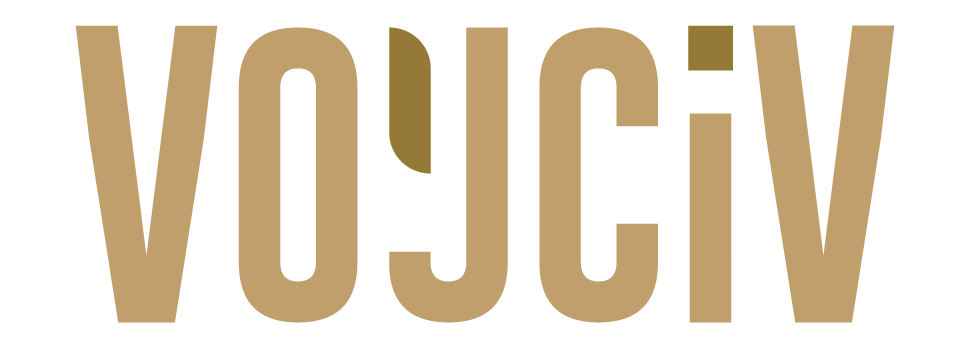 VoyCiv Logo